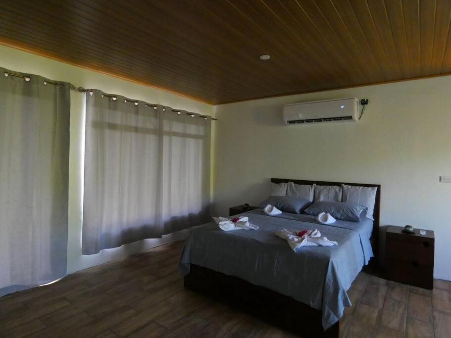 Tapiru'S House - Bahia Drake Apartment Drake Bay Exterior photo