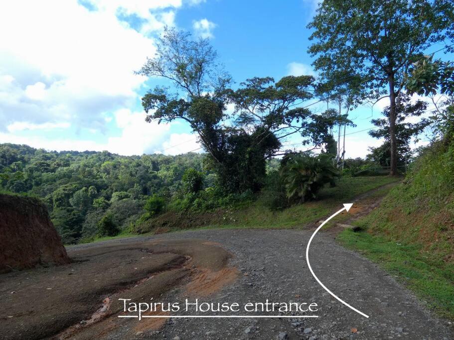Tapiru'S House - Bahia Drake Apartment Drake Bay Exterior photo