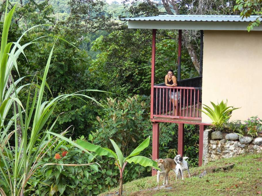 Tapiru'S House - Bahia Drake Apartment Drake Bay Exterior photo